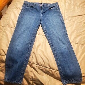 Gloria Vanderbilt Ankle Jeans in Classic Blue